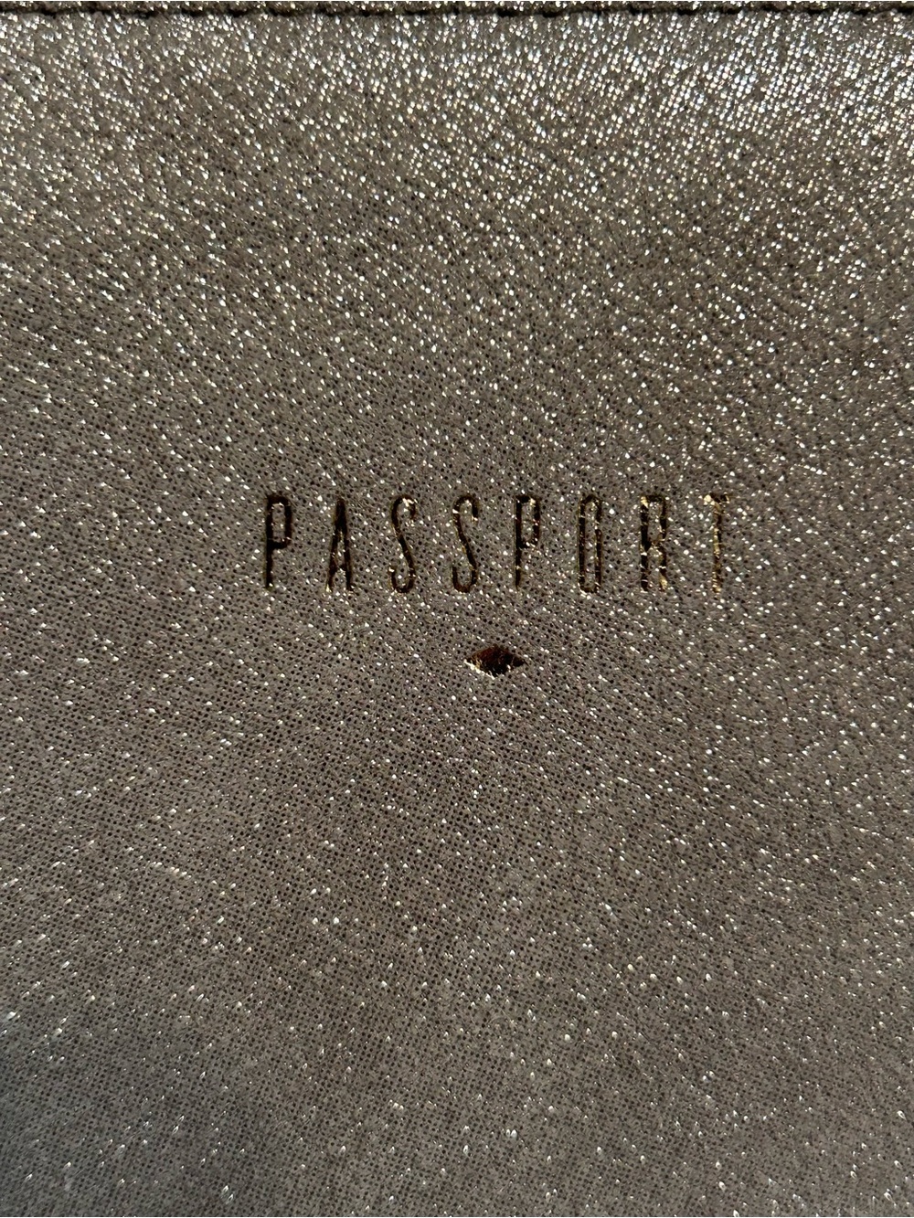 NWOT Fossil Metallic Silver Passport Clutch